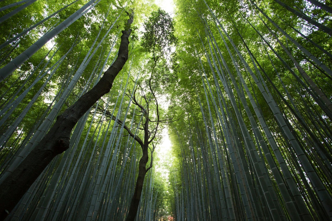 7 Science-Backed Health Benefits of Grounding - groundly