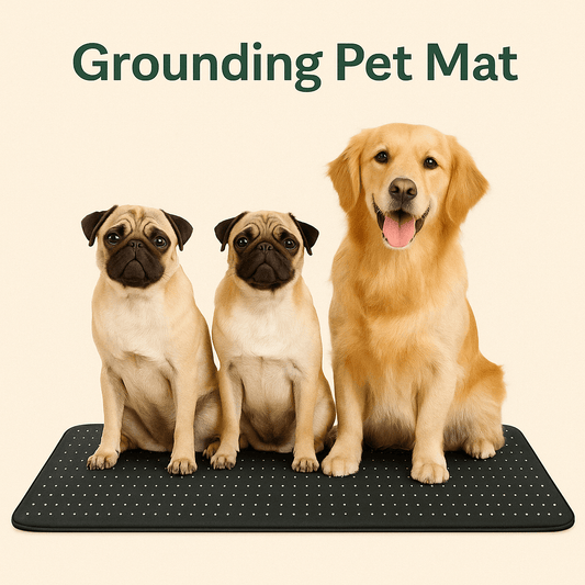 Grounding Pet Matct_name - groundly